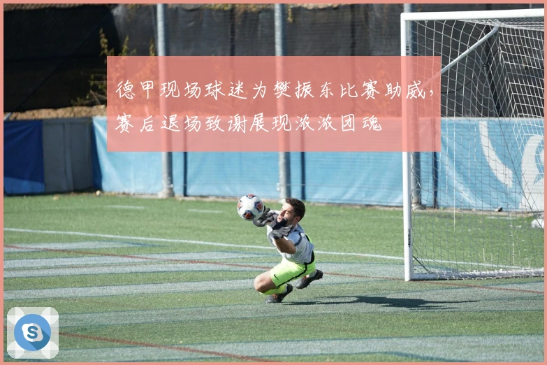 德甲现场球迷为樊振东比赛助威，赛后退场致谢展现浓浓团魂